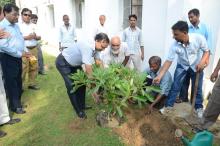 Independence Day-2017 Plantation Drive - Photo 4