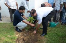 Independence Day-2017 Plantation Drive - Photo 5