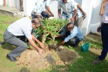 Independence Day-2017 Plantation Drive - Photo 10