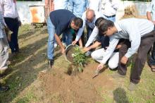 Independence Day-2017 Plantation Drive - Photo 11