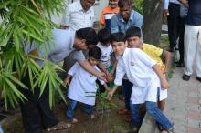Independence Day-2017 Plantation Drive - Photo 14