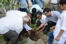 Independence Day-2017 Plantation Drive - Photo 18