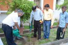Independence Day-2017 Plantation Drive - Photo 19